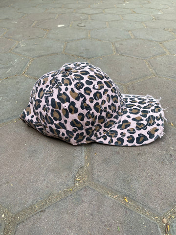 Tiger Cutting Collection 🐆